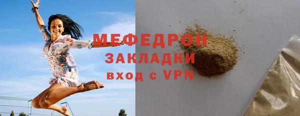 шишки Белокуриха